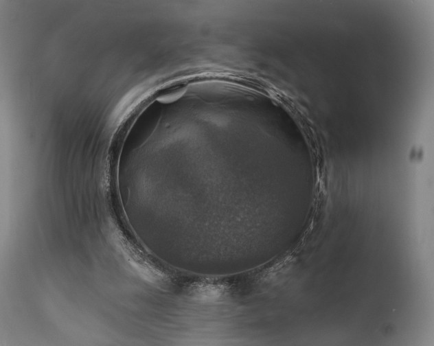 X0000111380247200907171229