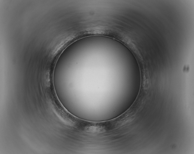 X0000111380251200907171229