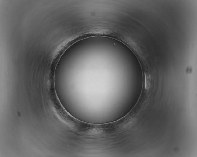 X0000111380252200907171229