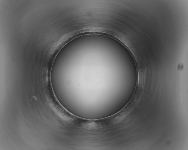 X0000111380253200907171229