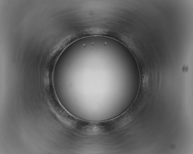 X0000111380254200907171229