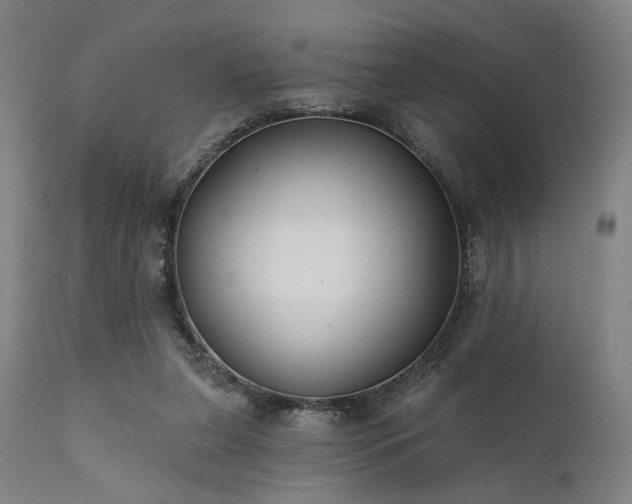 X0000111380255200907171229