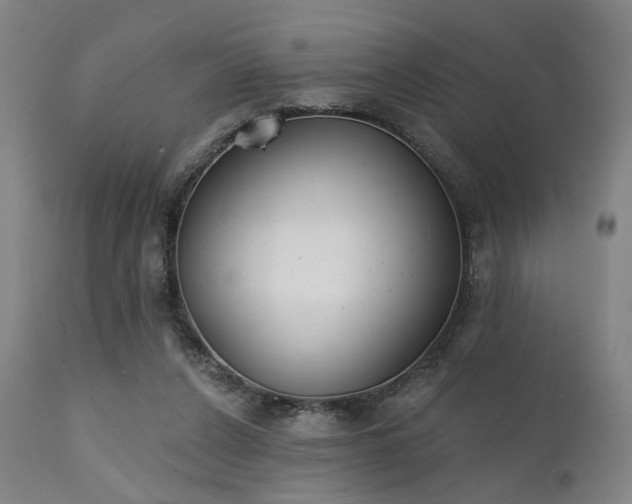 X0000111380256200907171229