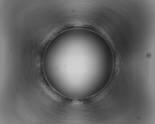 X0000111380257200907171229