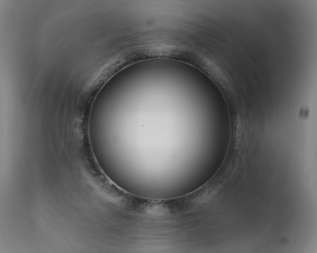 X0000111380258200907171229