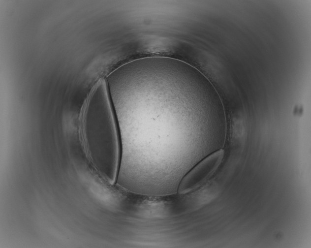 X0000111380260200907171229