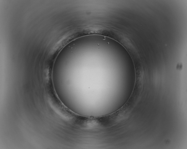 X0000111380262200907171229