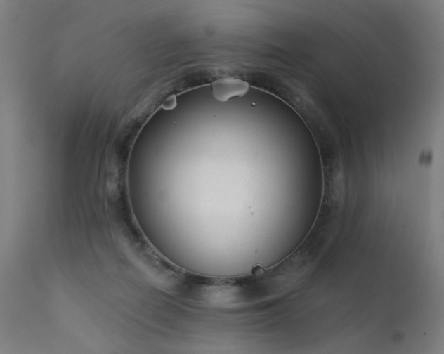 X0000111380266200907171229