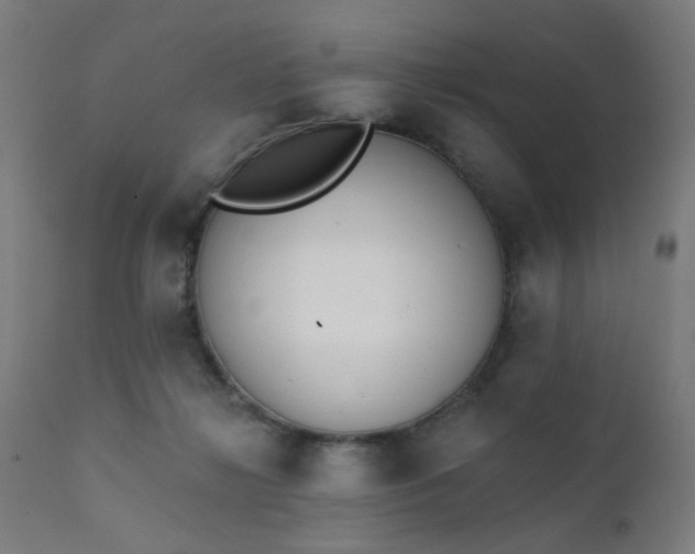 X0000111380268200907171229