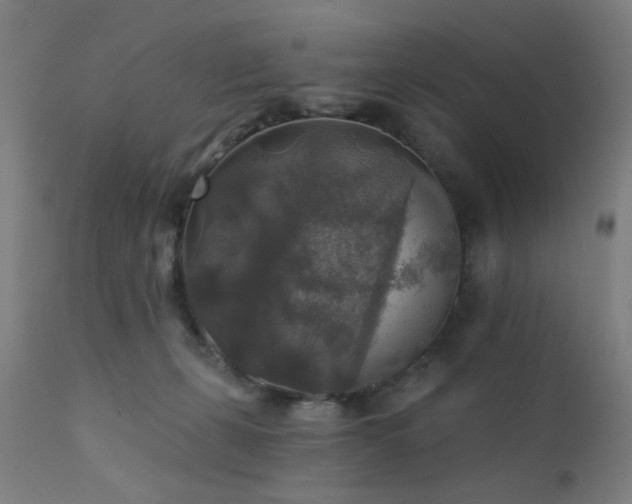 X0000111380271200907171229