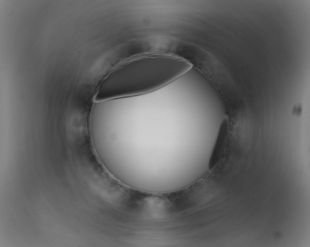 X0000111380272200907171229