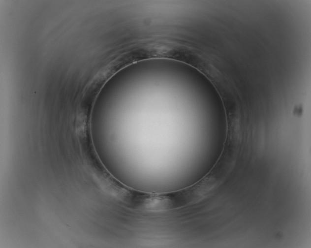 X0000111380274200907171229