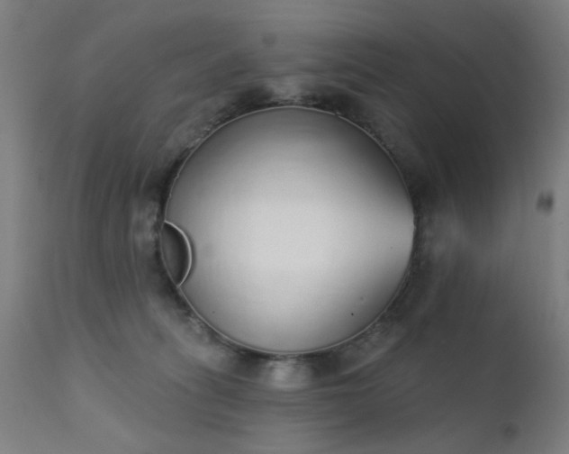 X0000111380275200907171229