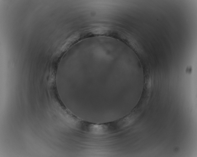 X0000111380277200907171229