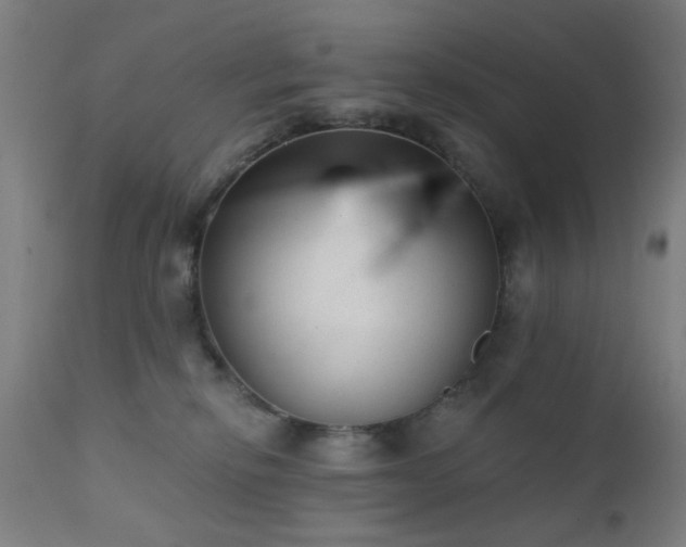 X0000111380278200907171229