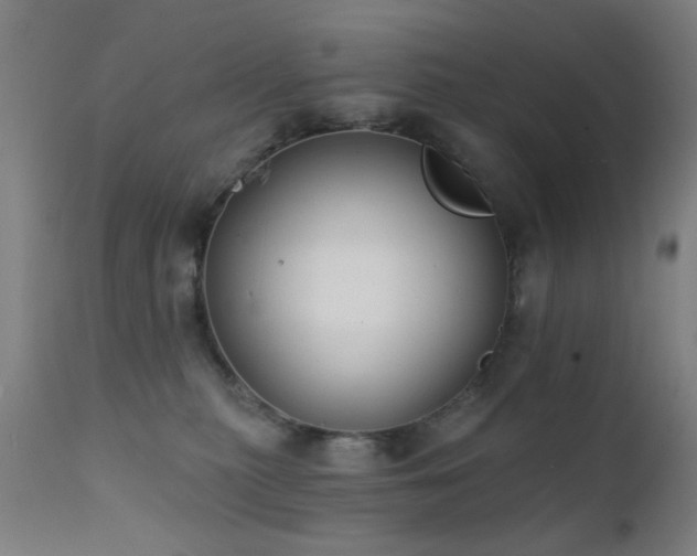 X0000111380279200907171229