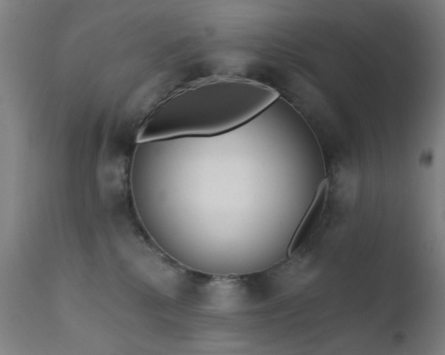 X0000111380280200907171229