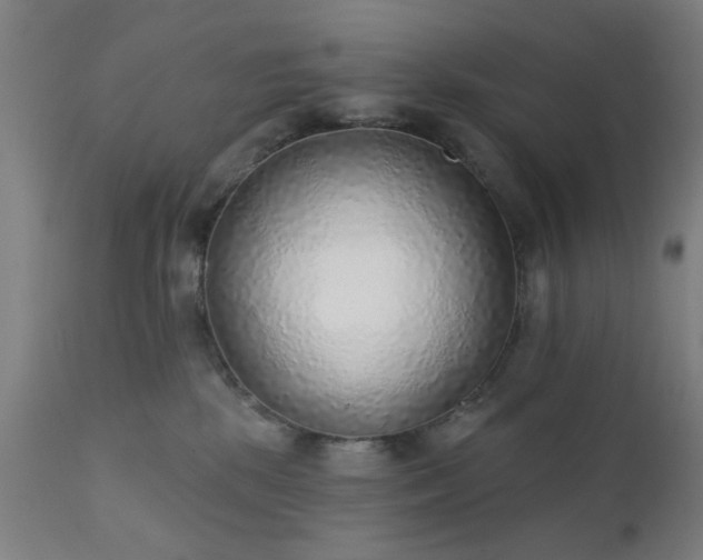 X0000111380281200907171229