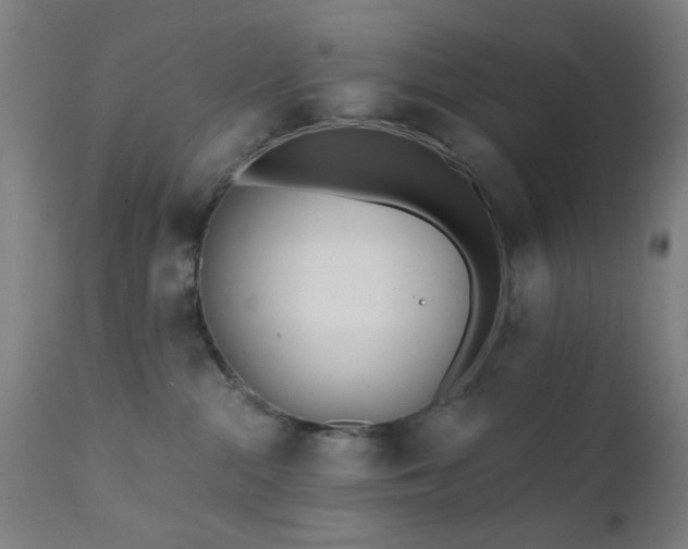 X0000111380284200907171229