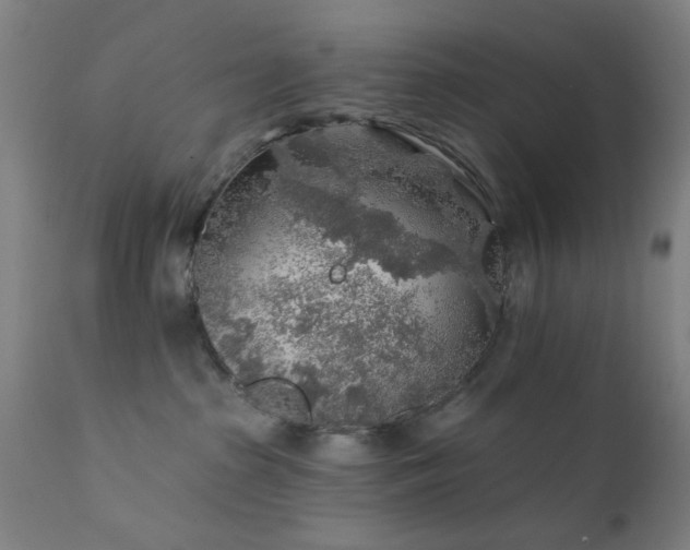 X0000111380285200907171229