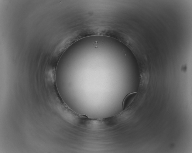 X0000111380286200907171229