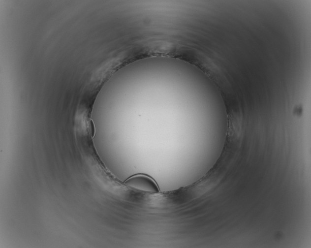 X0000111380287200907171229