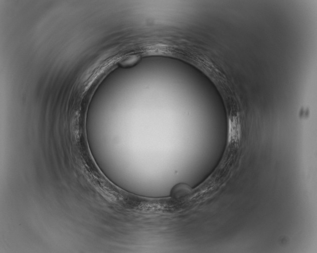 X0000111380291200907171229