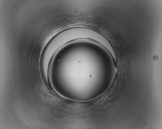 X0000111380292200907171229