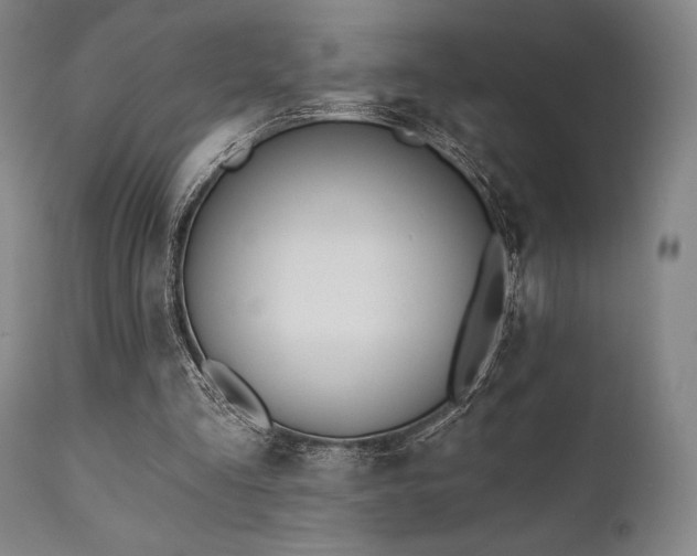 X0000111380293200907171229