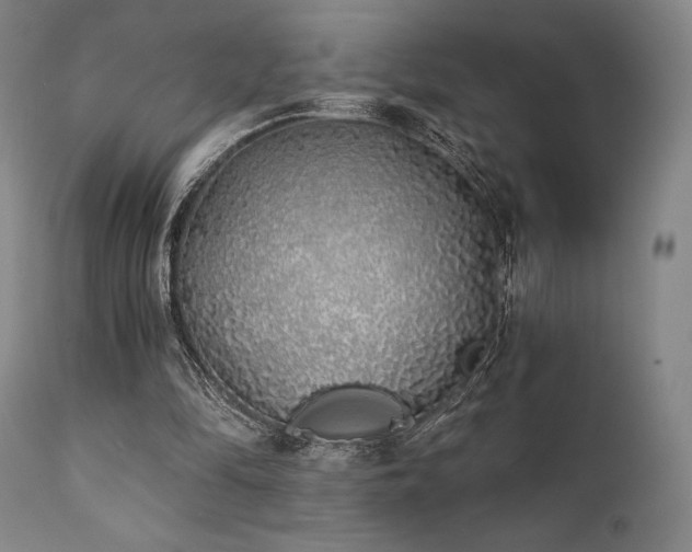 X0000111380294200907171229