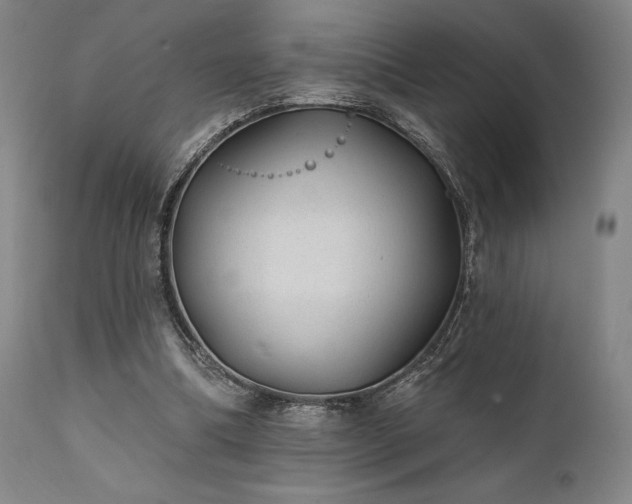 X0000111380298200907171228