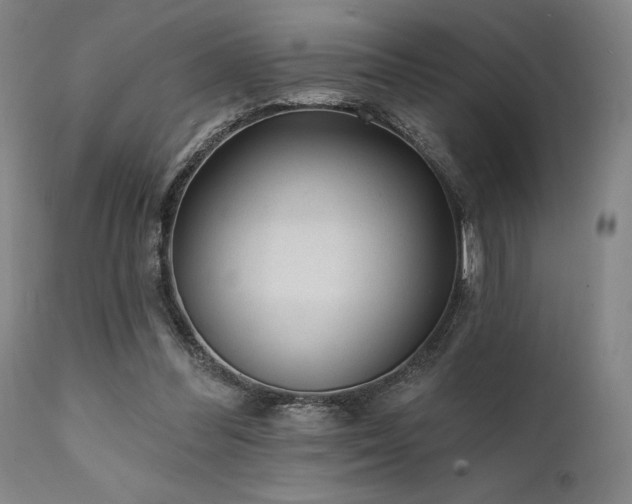 X0000111380300200907171228