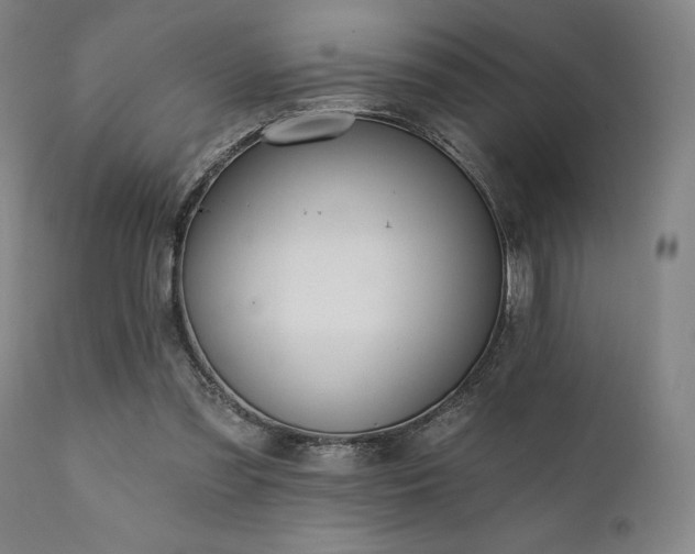 X0000111380301200907171228