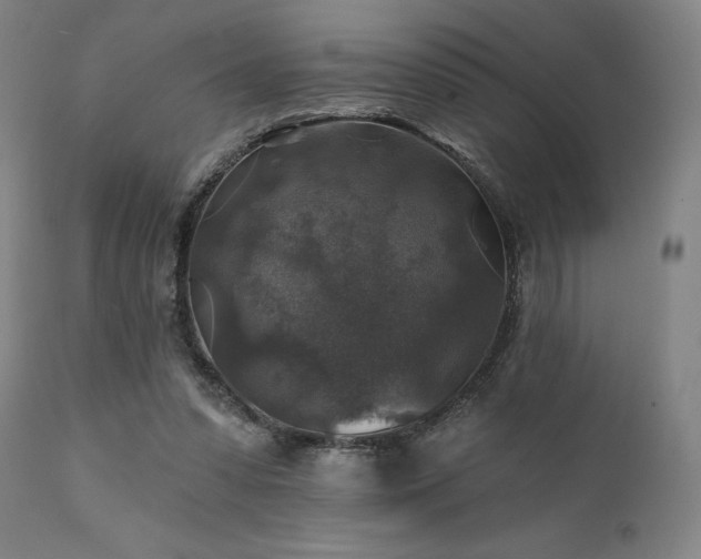 X0000111380303200907171228