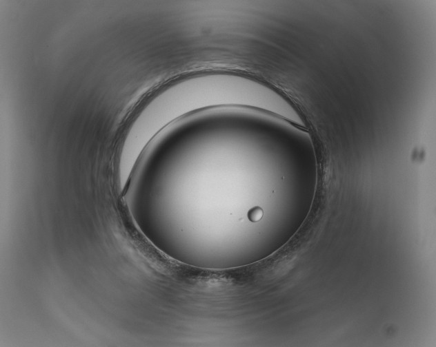 X0000111380304200907171228