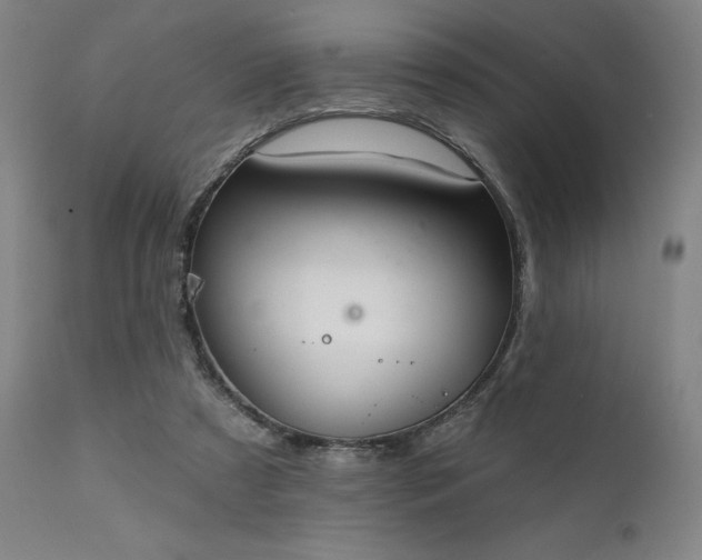 X0000111380305200907171228