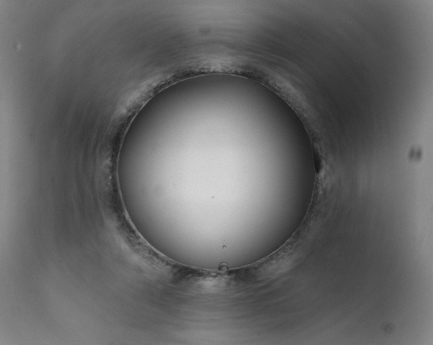 X0000111380306200907171228