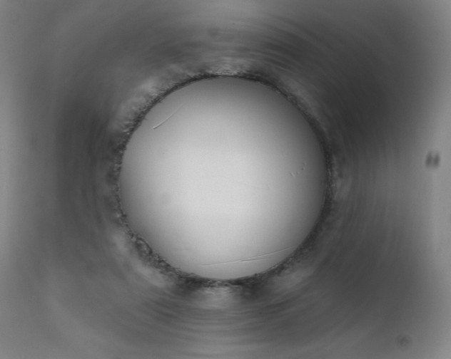 X0000111380307200907171228