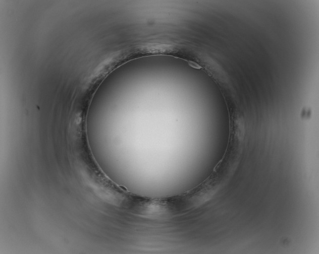 X0000111380308200907171228