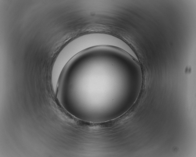 X0000111380309200907171228