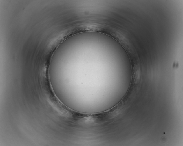 X0000111380310200907171228