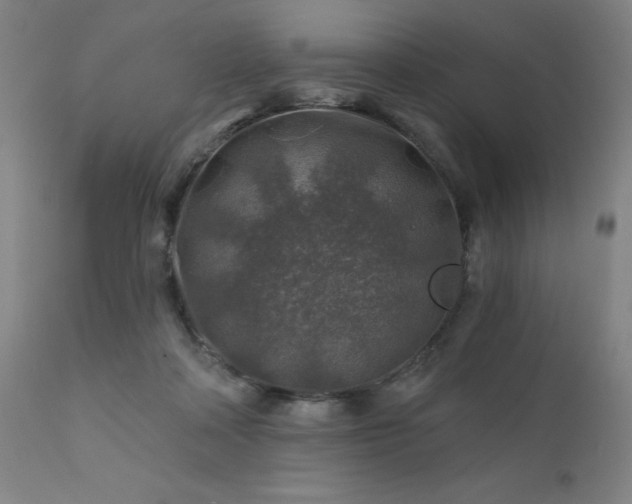 X0000111380314200907171228