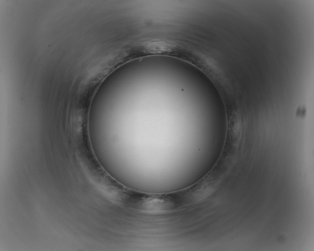 X0000111380315200907171228