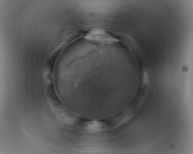 X0000111380316200907171228