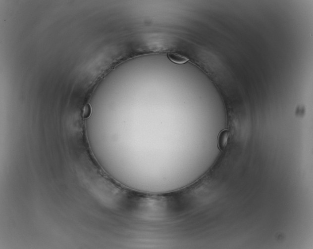 X0000111380317200907171228