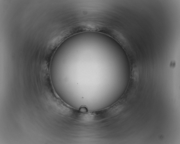 X0000111380318200907171228