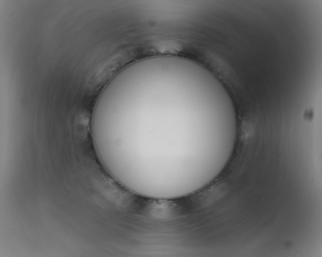 X0000111380321200907171228