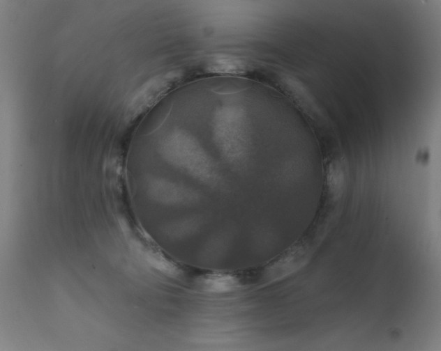 X0000111380322200907171228