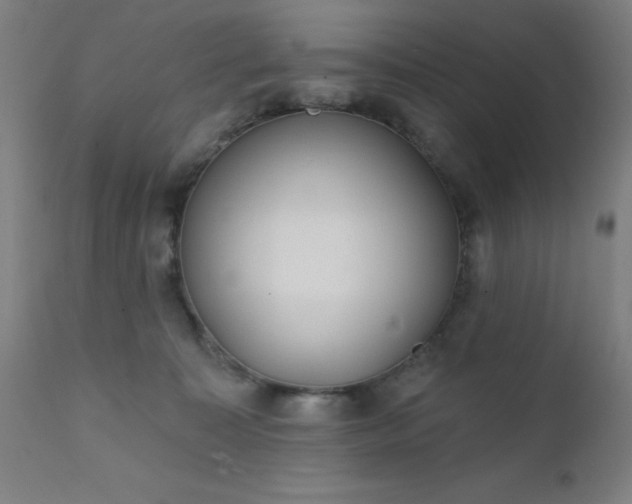 X0000111380323200907171228