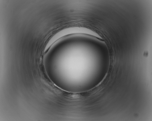 X0000111380324200907171228